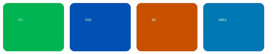 禁漫天堂支持的支付方式图标 - 包括PIX、VISA、万事达卡等